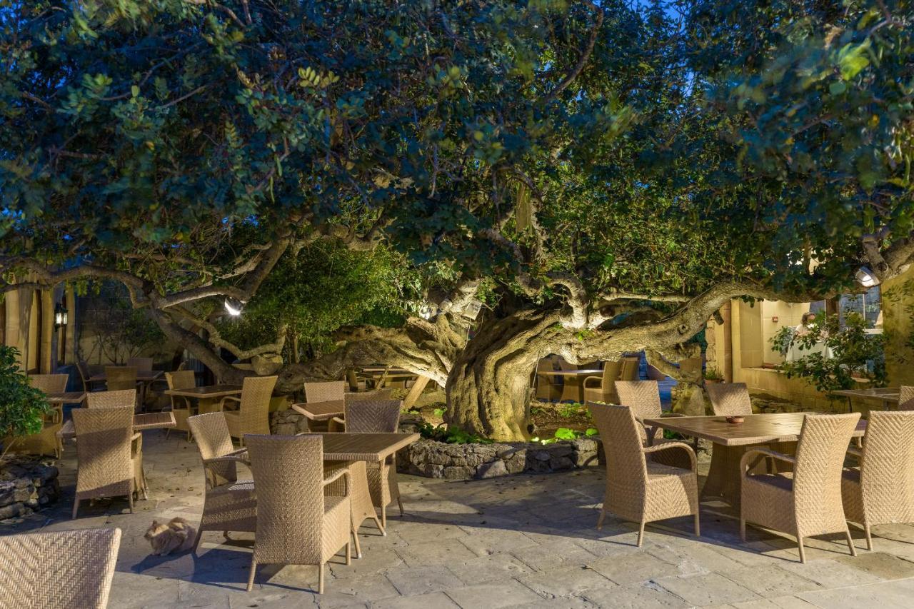 Hotel Ta' Cenc & Spa Sannat Екстер'єр фото The Banyan Tree at the Four Seasons Resort